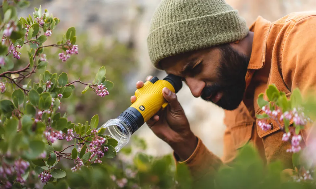 Inspector Microscope 4.webp