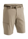 Maier M Broek Huang